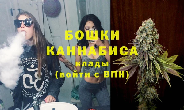 молекула духа Дегтярск