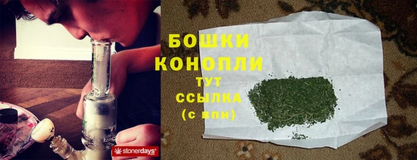 ГАЛЛЮЦИНОГЕННЫЕ ГРИБЫ Дубовка
