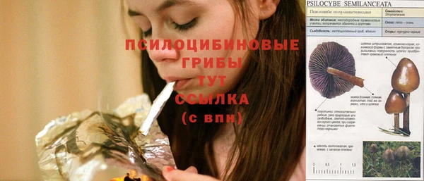 прущий лед Протвино