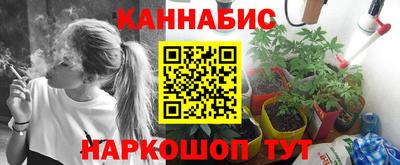 индика Балашиха