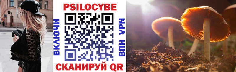 Псилоцибиновые грибы прущие грибы  Богданович 
