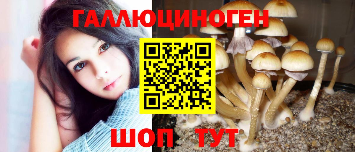 Псилоцибиновые грибы ЛСД Богданович