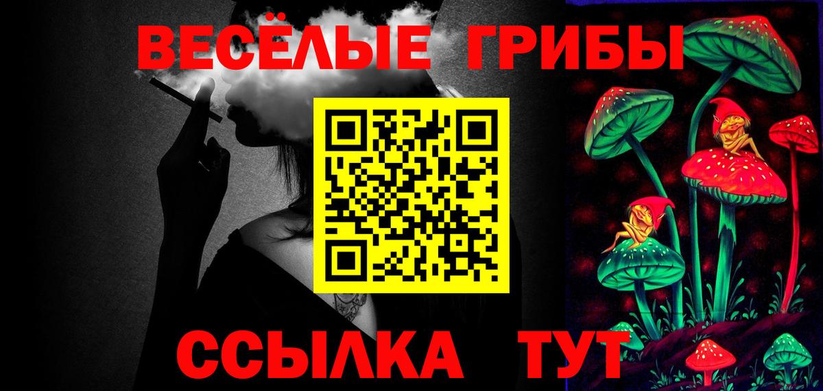 купить закладку  Богданович  Псилоцибиновые грибы Psilocybe 