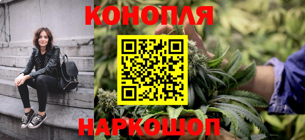 Гашиш Богданович